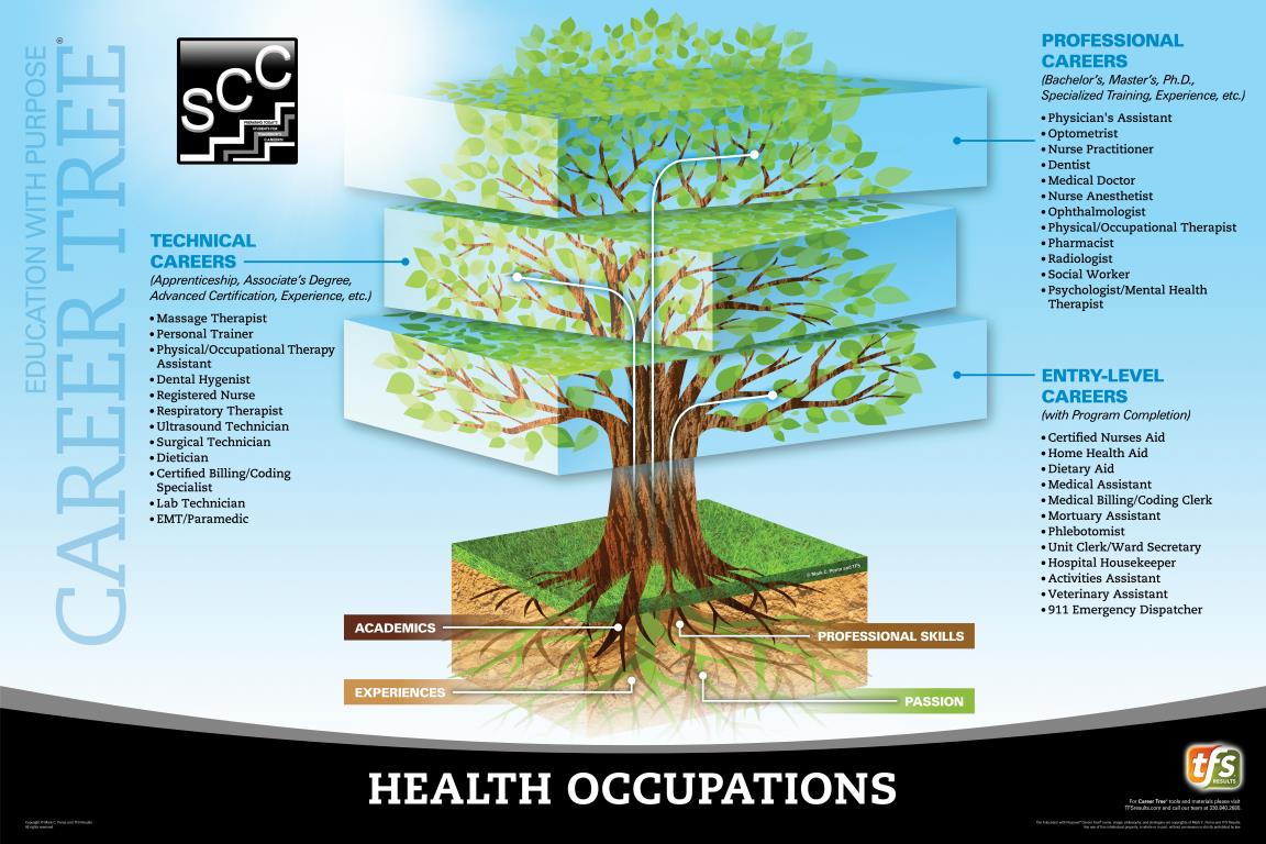 Auto Services Career Tree